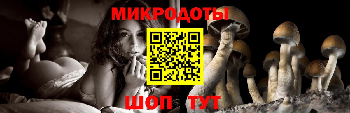 Галлюциногенные грибы мицелий  Вход с VPN  Белгород 